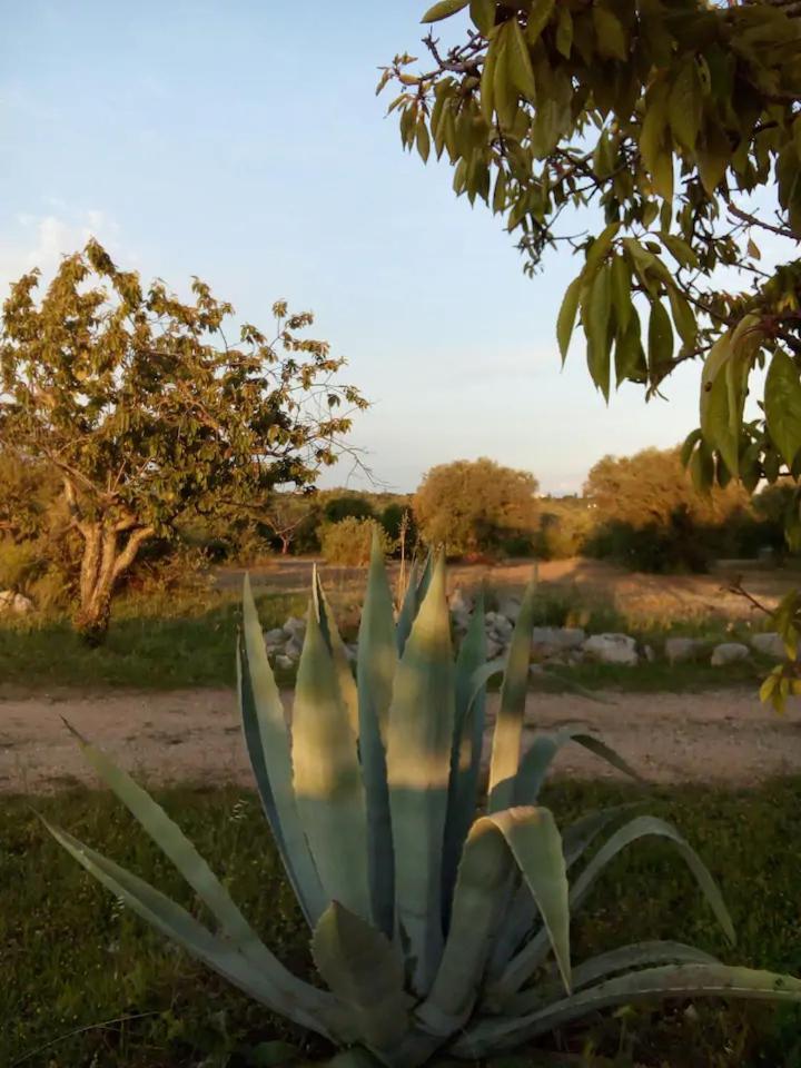 Masseria Fra Diavolo Pensionat Castellana Grotte Eksteriør billede