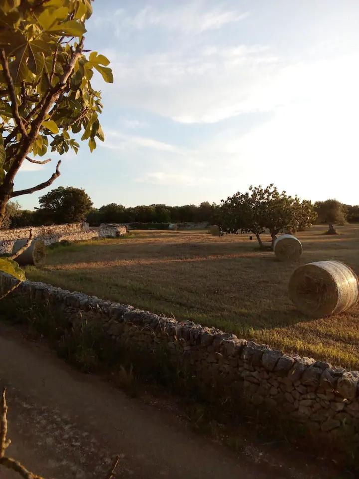 Masseria Fra Diavolo Pensionat Castellana Grotte Eksteriør billede