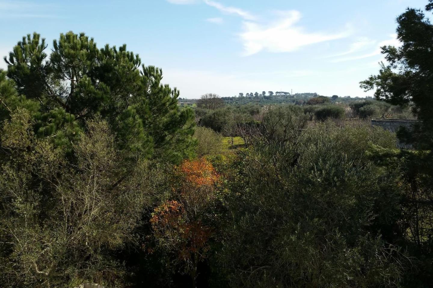 Masseria Fra Diavolo Pensionat Castellana Grotte Eksteriør billede