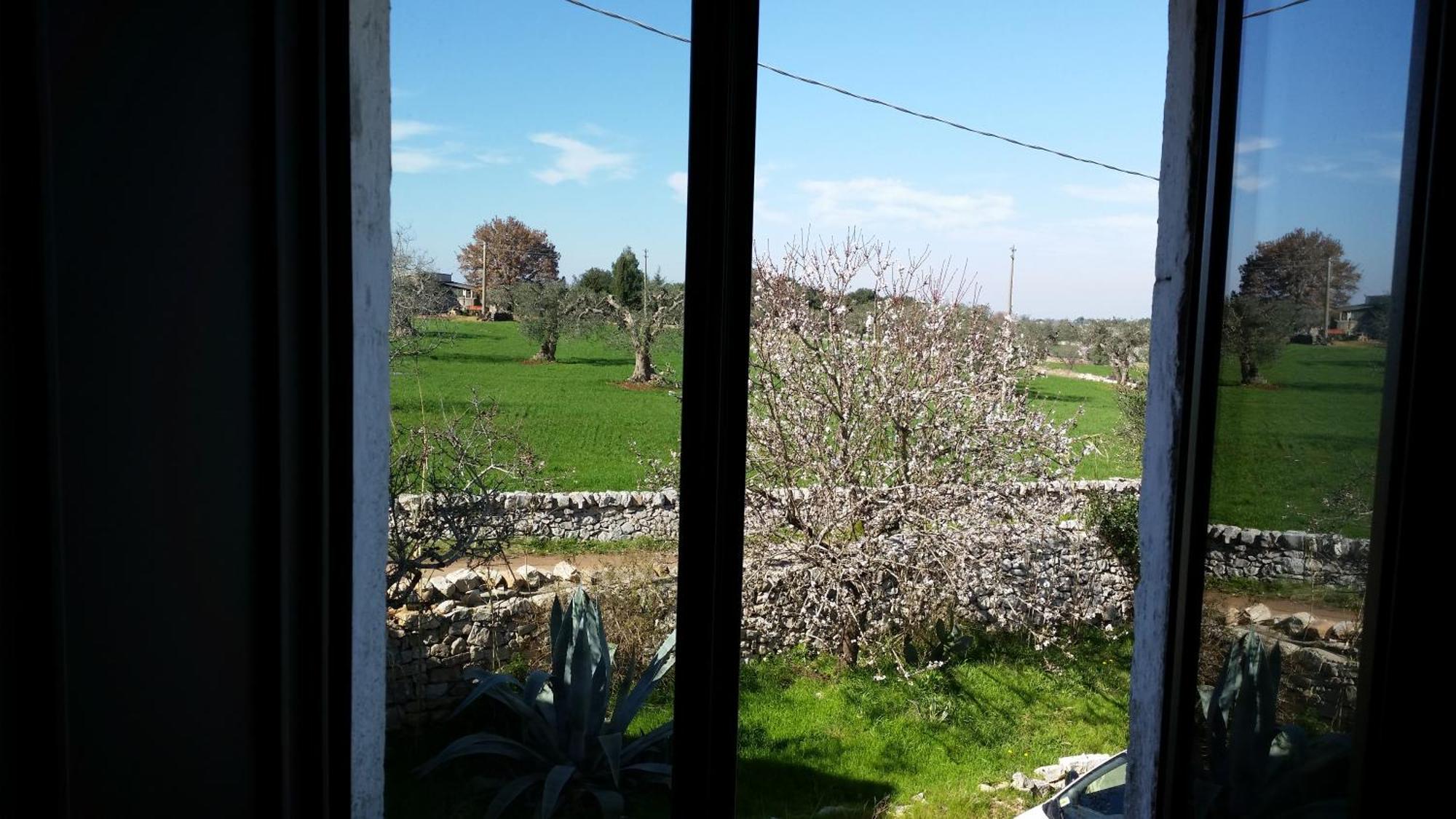 Masseria Fra Diavolo Pensionat Castellana Grotte Eksteriør billede