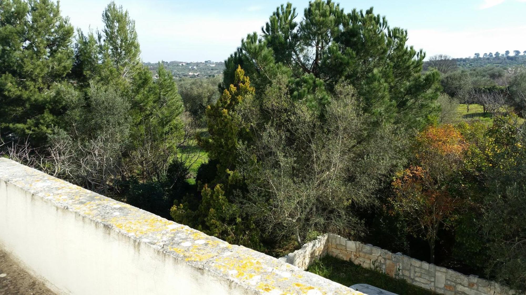 Masseria Fra Diavolo Pensionat Castellana Grotte Eksteriør billede